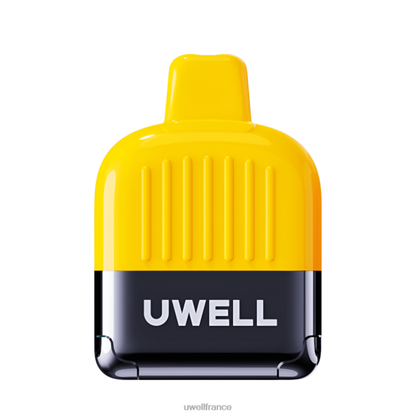 UWELL DN8000 vape jetable | UWELL Paris Baies mélangées 84P4N312