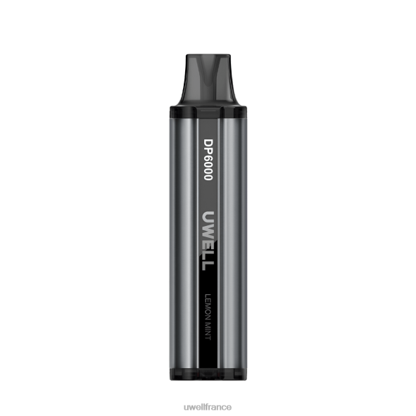 UWELL DP6000 vape jetable | UWELL Vape Flavors raisin cassis 84P4N329
