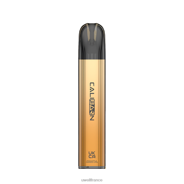UWELL CALIBURN vape jetable de la barre C800 | UWELL Disposable Vape raisin d\'aloès 84P4N325